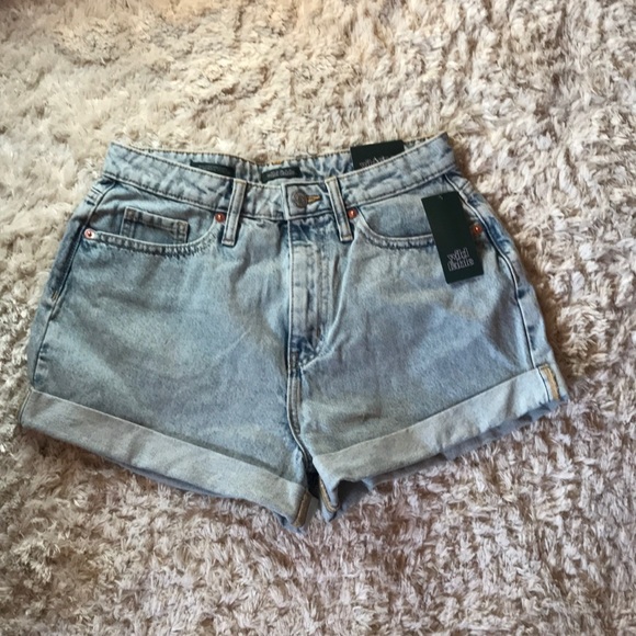 Light Wash High Rise Mom Jean Shorts